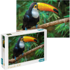 Puzzle "Toucan. Brazilia", seria Lumea animalelor, 500 elem. 1 300400