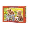 52356 box 650x650 1 600x600 1