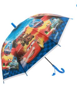 Accesorii pentru Baieti